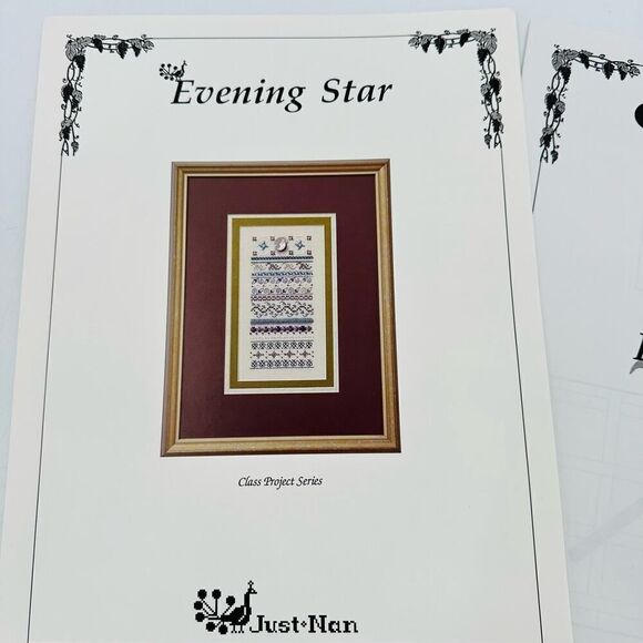 JUST NAN Evening Star Class Project Chart Stitch Diagram Cross Stitch Pattern - Picture 9 of 9